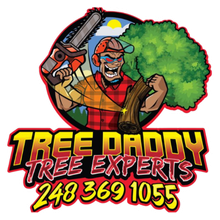 Tree Daddy Tree Experts